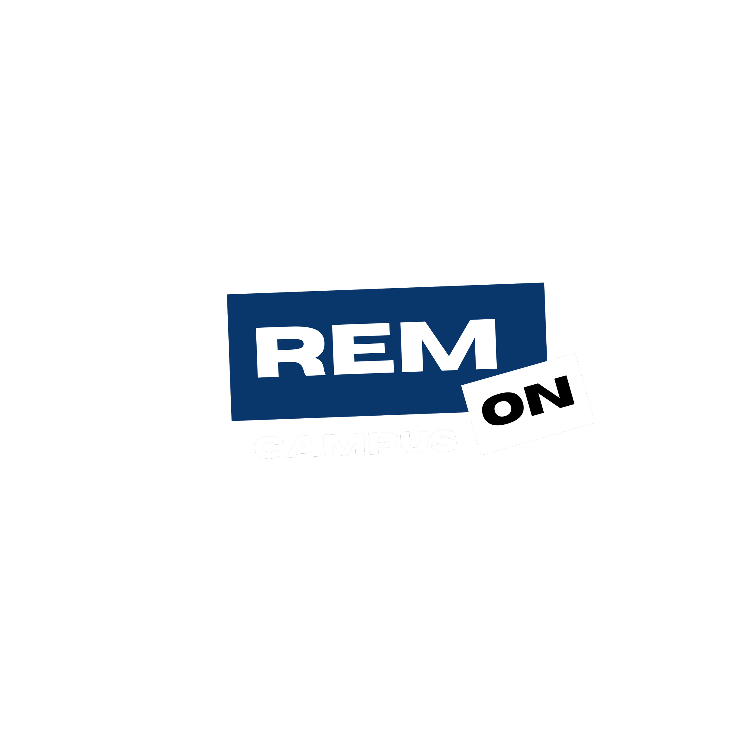 REM on Campus